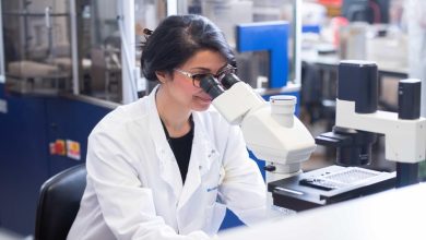 کارشناس میکروبیولوژی در استرالیا