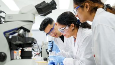 کارشناس علوم آزمایشگاهی